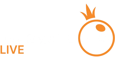 partners who work with Skybook247